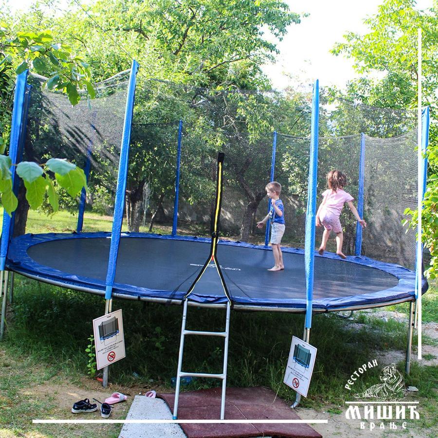Zoo Misic Prenociste Hotel Vranje Exterior photo