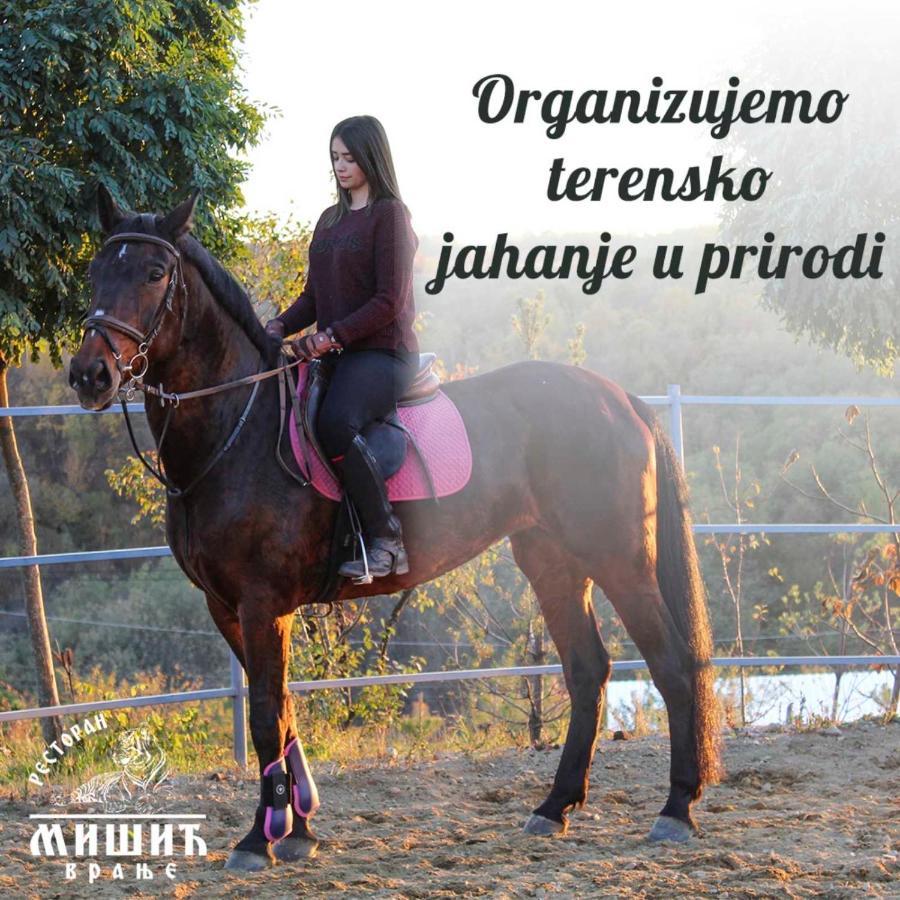 Zoo Misic Prenociste Hotel Vranje Exterior photo